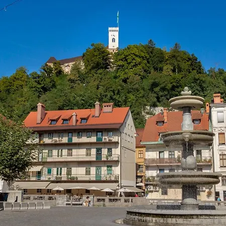 Fine Ljubljana